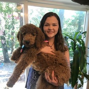 Meet your Posher, Katelyn